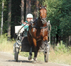 Foto: Annika Lindblom, Travkompaniet